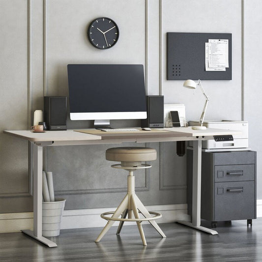 Furmax 55Inch Electric Standing Desk Height Adjustable Desk Sit Stand Office Desk workstation