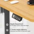 Furmax 48" x 24" Home Office Electric Height Adjustable Standing Desk